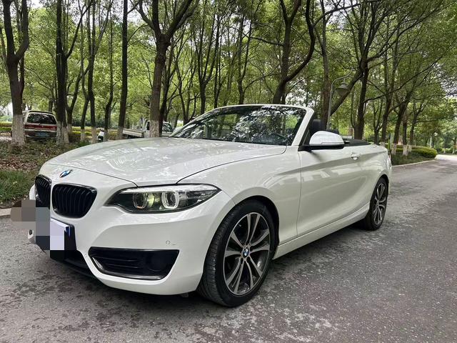 BMW 2 Series (imported) 2019 225i sports design set