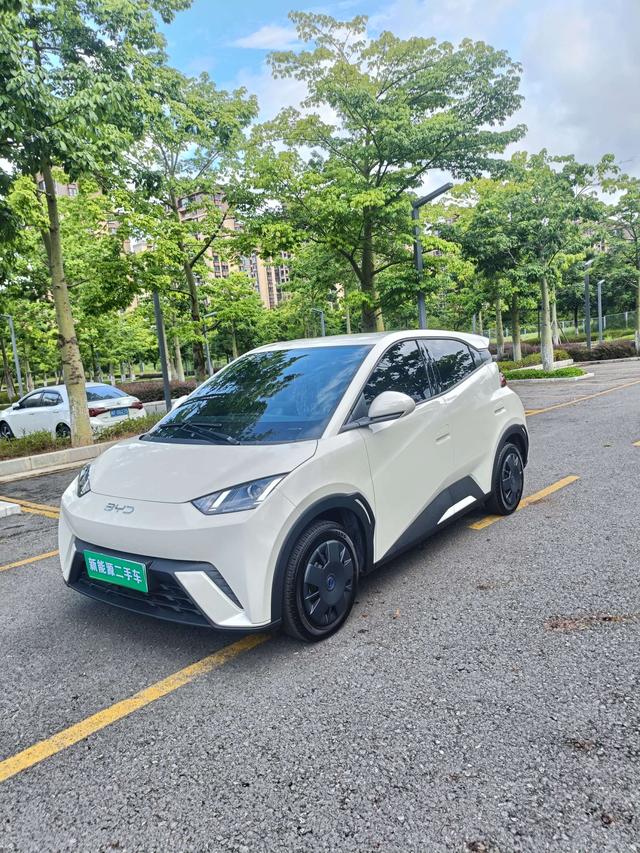 Seagull 2025 305KM Vitality Edition