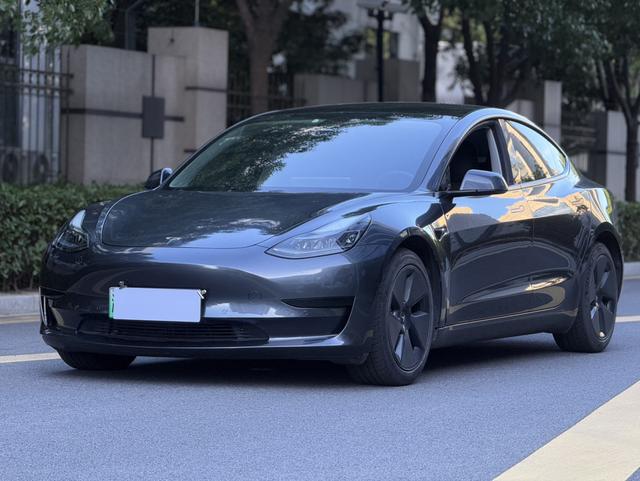 Model 3 2021 Standard Range Rear Drive Upgrade 3D6