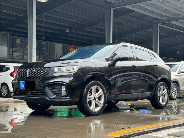 Wei brand VV5 2021 model 1.5T Yan Xianfeng