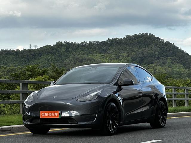 Model Y 2021 Long Range All-Wheel Drive 3D3/3D7