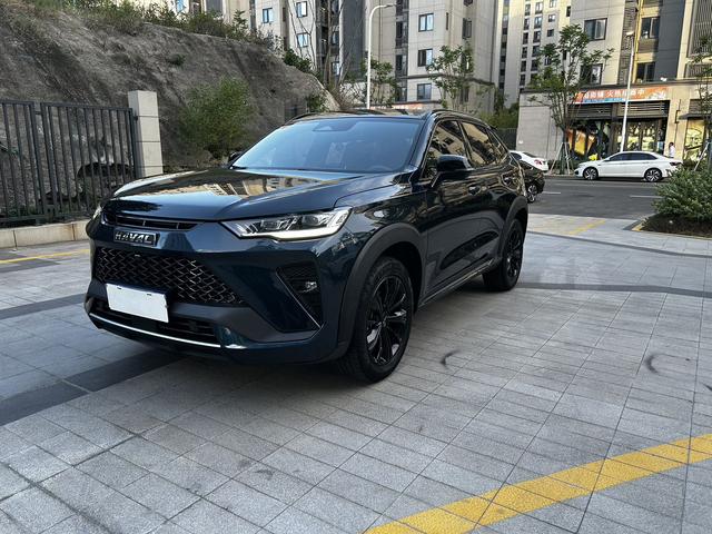 Haval H6S 2022 2.0T Pleasure Run Edition