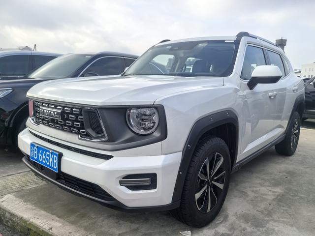 Havoc II Big Dog 2023 2.0T 4WD Tide Wild Plus