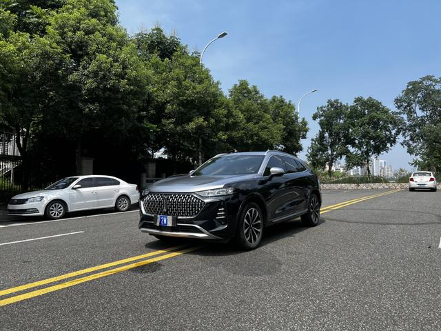 Mocha 2021 2.0T two-wheel drive extra thick version