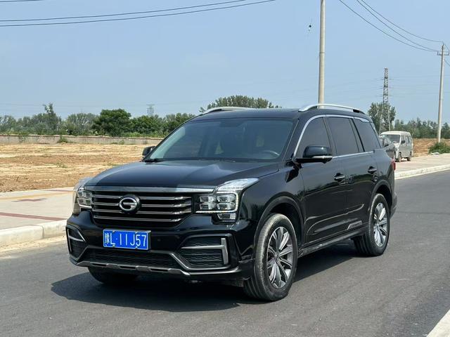 Tranquility GS8 2021 390T 2WD Luxury Intelligent Link Commemorative Edition