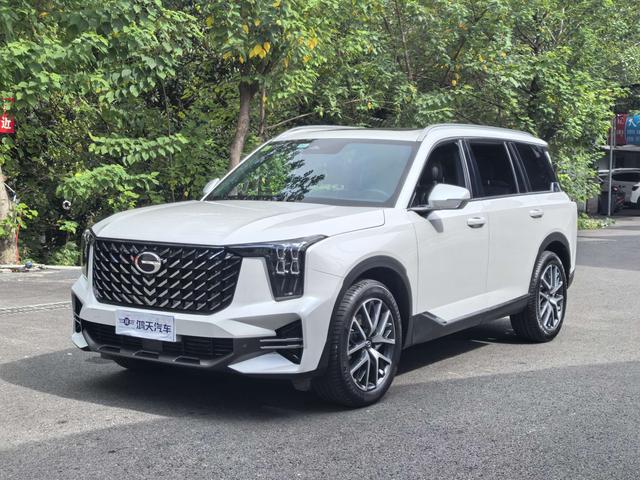 Trumpchi GS8 2024 Pilot Series 2.0 TGDI two-wheel drive luxury Smart Edition