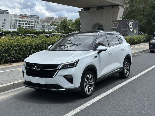 Wuling Xingchen 2021 1.5T Automatic Star Obsidian Version