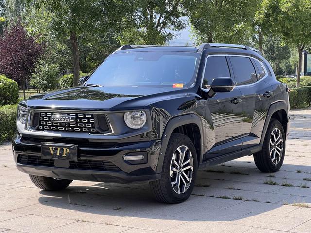 Havoc II Big Dog 2023 2.0T 4WD Tide Wild Plus