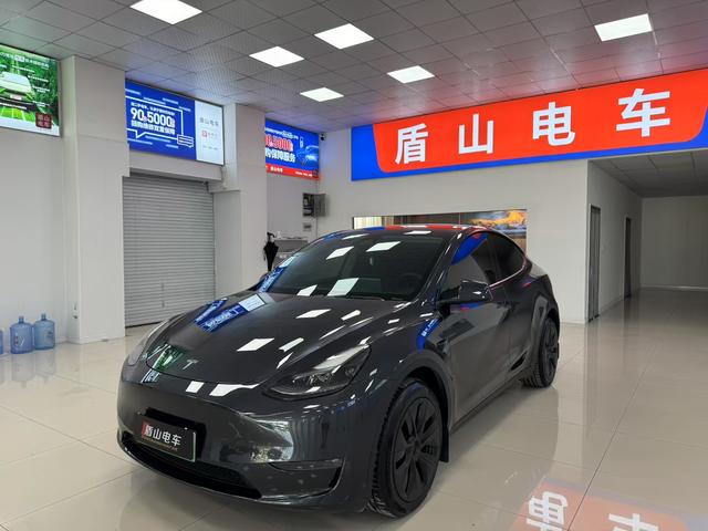 Model Y 2024 long battery life all-wheel drive version