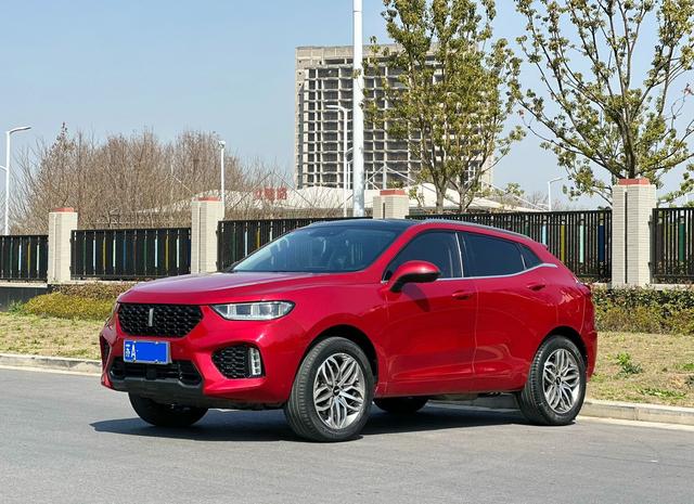 Wei brand VV5 2019 upgraded 2.0T two-wheel drive flagship national V