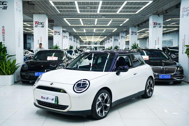 Electric MINI COOPER 2024 COOPER SE artist