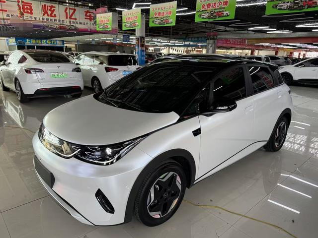 Dolphin 2025 Smart Driving Version 420KM Free Version