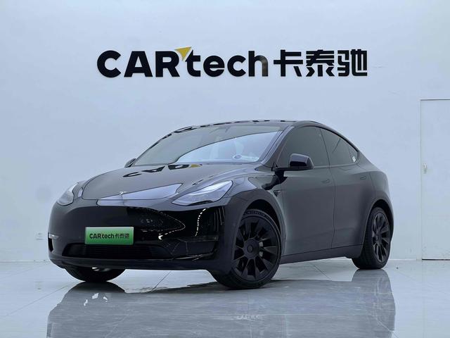 Model Y 2021 Standard Range Rear-Wheel Drive