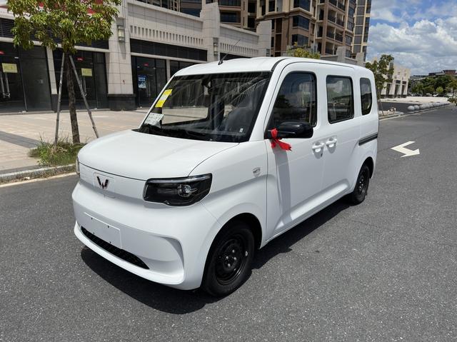 Wuling Zhiguang EV 2025 Standard Type