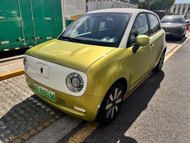 Euler Black Cat 2022 model 351km standard Ternary Lithium
