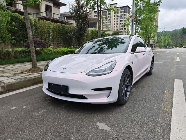 Model 3 2020 Modified Standard Range Rear Drive Upgrade