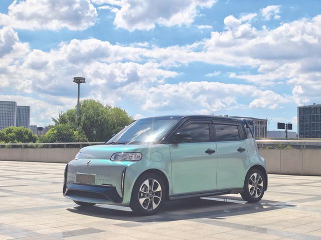 Euler White Cat 2022 Little Wild Cat Version 360km Luxury Ternary Lithium