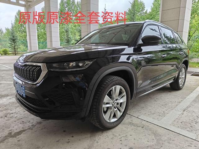 Kodiak 2024 model ZI330 5-seater two-wheel drive power version