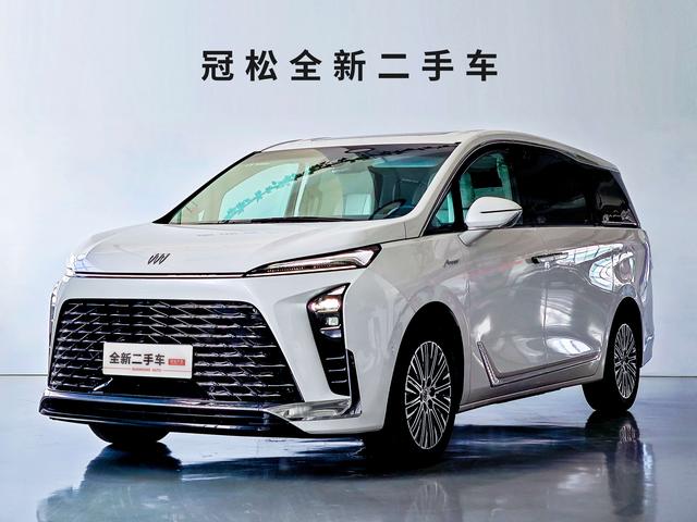 Buick GL8 PHEV 2024 Lu Zun 1.5T seven-seater luxury edition