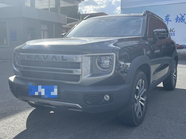 Havoc Big Dog 2024 1.5T 2WD Border Ranch Edition