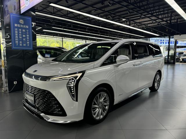 Century 2023 2.0T Six-Seat Embracing World Edition
