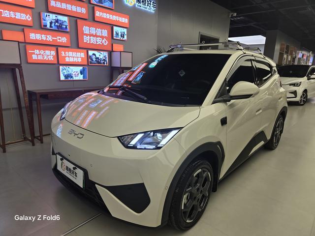 Seagull 2025 Smart Driving Version 405KM Flying Version