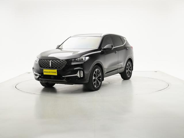 Wei brand VV6 2021 2.0T two-wheel drive smart protection+