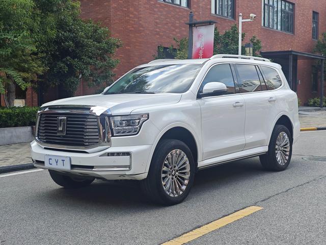 Tank 500 2022 Business Edition Landscape 7-Seater