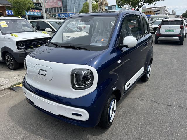 Pentium Pony 2024 222km Smart Horse