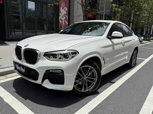 BMW X4 2019 xDrive25i M Sport Package