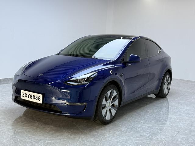 Model Y 2021 Standard Range Rear-Wheel Drive