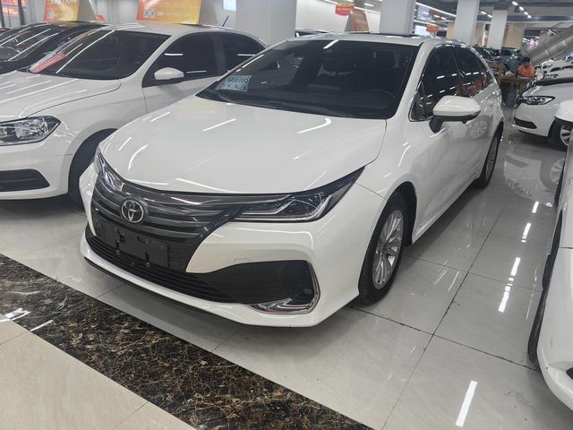 Asiatic Lion 2021 2.0L Deluxe
