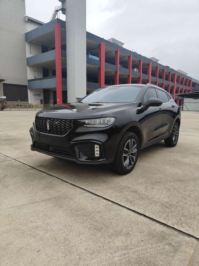 Wei brand VV5 2020 1.5T Smart Pioneer