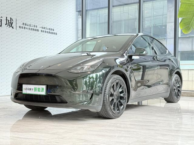 Model Y 2021 Standard Range Rear-Wheel Drive