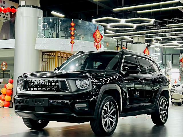 Havoc II Big Dog 2023 2.0T 2WD Tide Wild Plus