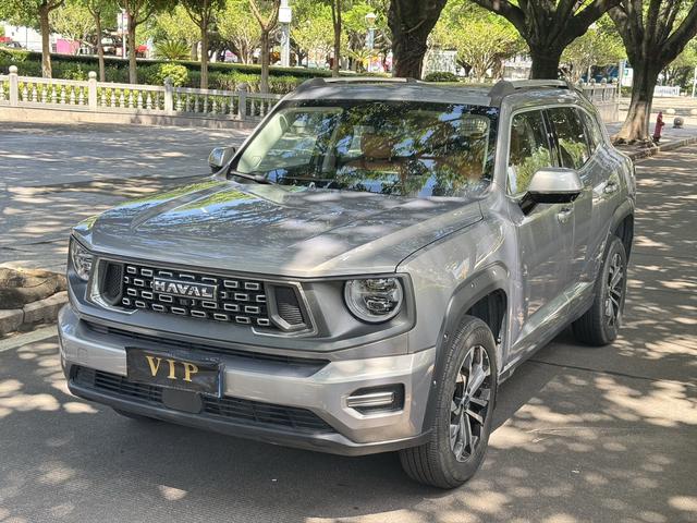 Havoc II Big Dog 2023 2.0T 2WD Tide Wild Plus