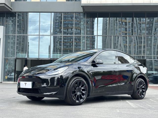 Model Y 2024 long battery life all-wheel drive version