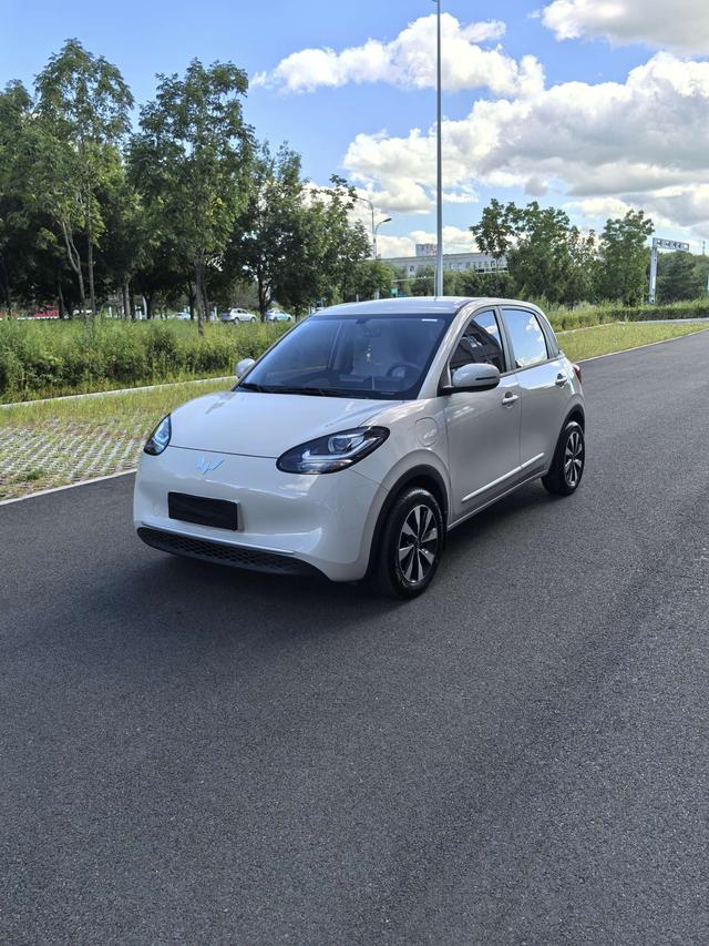 Wuling Bingguo 2024 Model 203KM Light Enjoyment Model