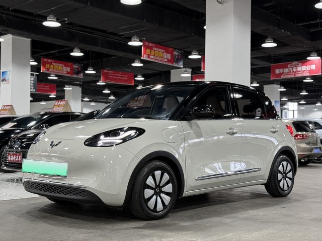 Wuling Colorado 2023 333KM Master Mind Connection Model