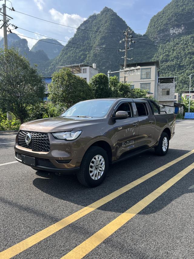 Gun 2019 commercial version 2.0T diesel manual four-wheel drive pilot long box GW4D20M