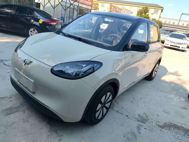 Wuling Bingguo 2025 Model 333KM Yuexiang Model