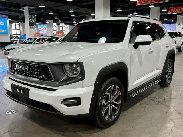 Havoc II Big Dog 2023 1.5T 2WD Tide Wild Plus