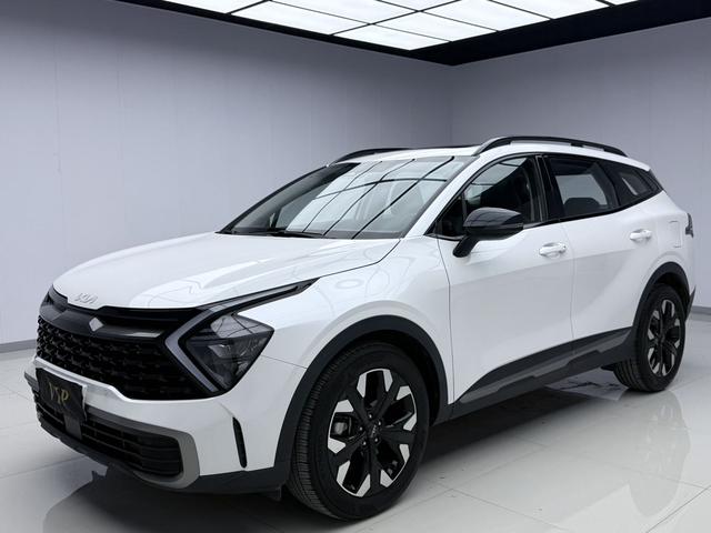 Lion Platinum Tuojie 2023 2.0T Two-wheel drive Premium Edition