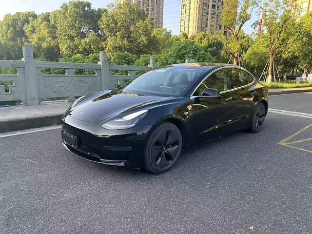 Model 3 (Import) 2019 Long Range Rear Drive Edition