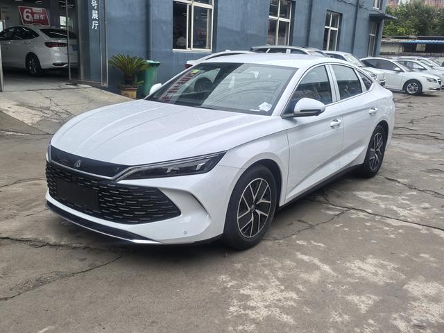 Qin L DM 2024 DM-i 80KM transcendent Type