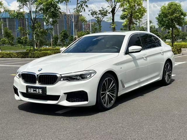 BMW 5 Series 2020 530Li Premium M Sport Package