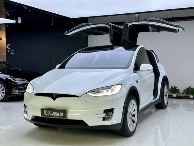 Model X 2019 Long Range Edition