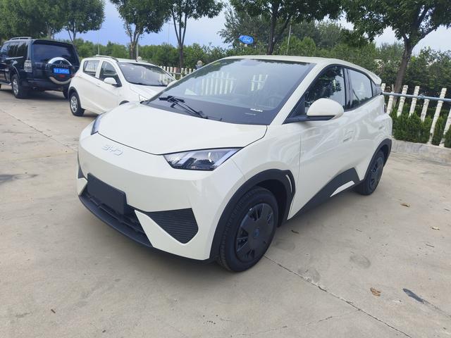 Seagull 2025 Smart Driving Version 305KM Vitality Version