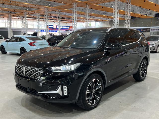 Wei brand VV6 2021 2.0T two-wheel drive smart enjoy+