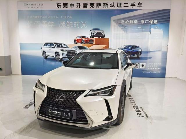 Lexus UX EV 2020 300e Pure-Joy